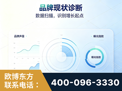 林芝-品牌现状诊断