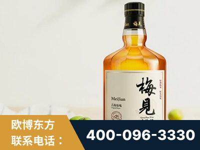 林芝-梅见青梅酒