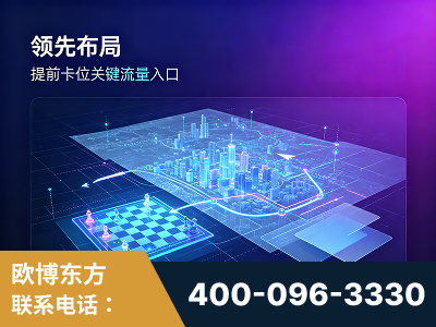 林芝-领先布局：于2024年初开启GEO业务的公司
